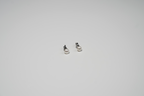 CloudClasp